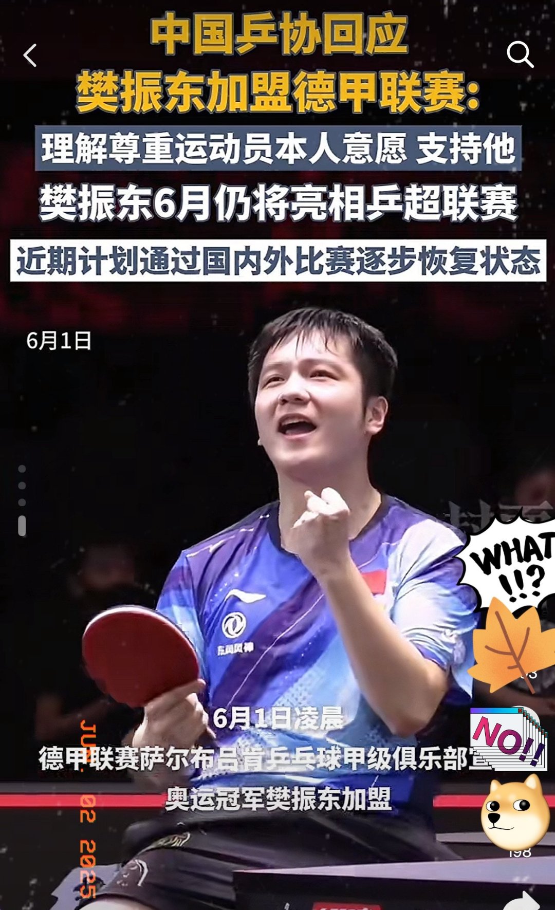 开云体育入口-法国乒乓球队绝杀德国乒乓球队，樊振东关键制胜的简单介绍