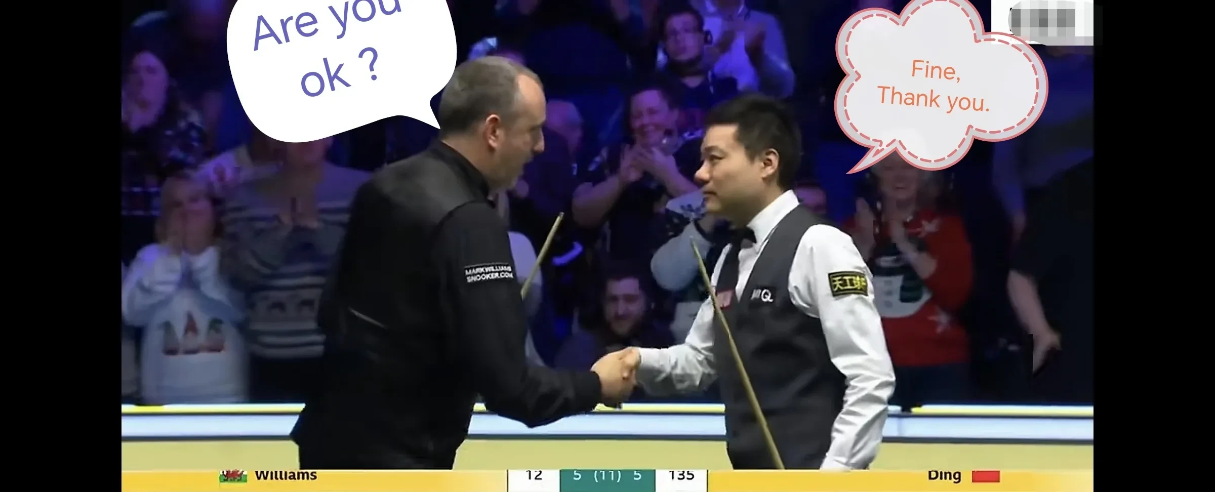 英国乒乓球队绝杀德国乒乓球队，马龙关键制胜的简单介绍