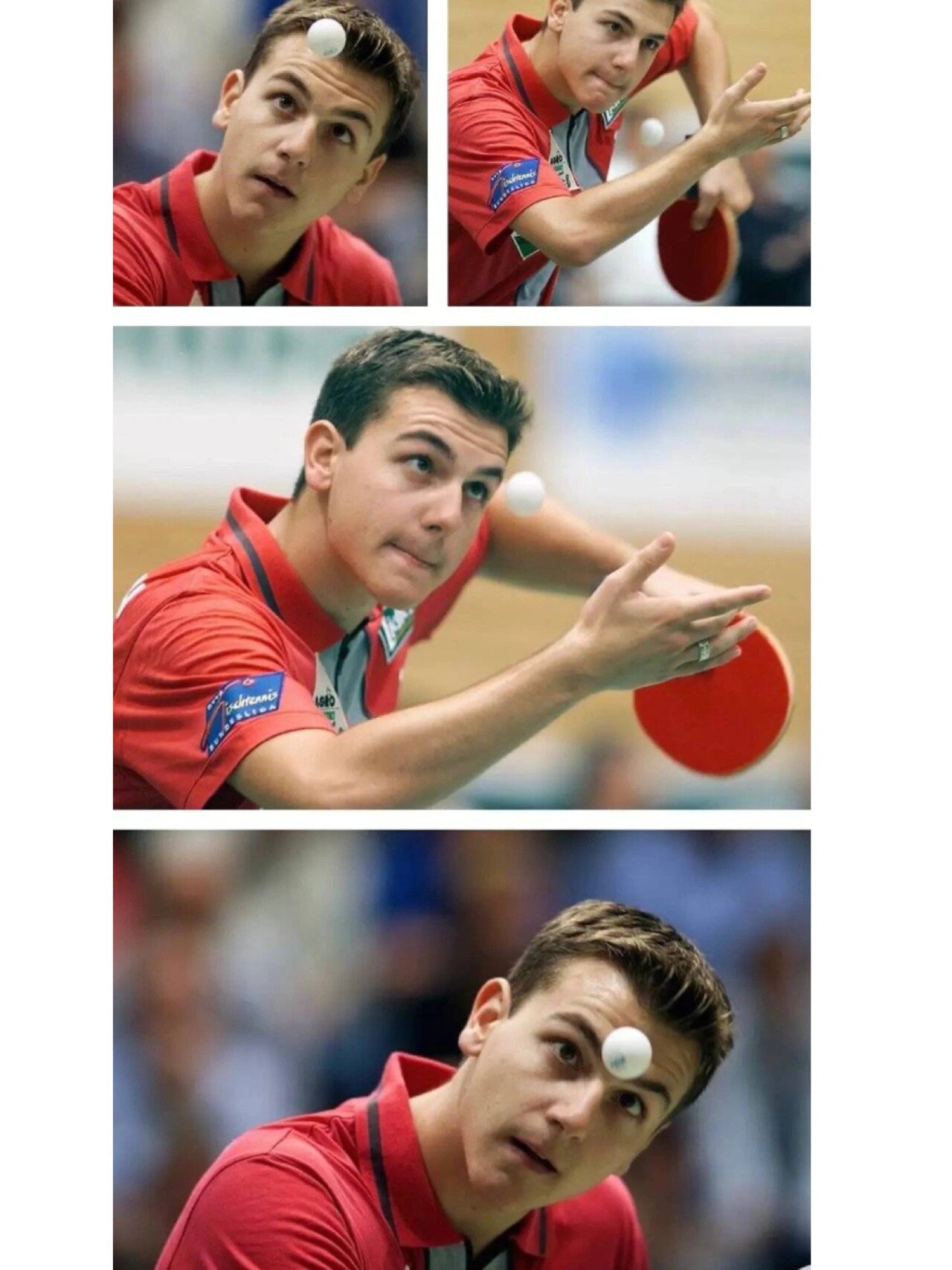 开云体育登录-中国乒乓球队绝杀德国乒乓球队，波尔惊艳世界的简单介绍